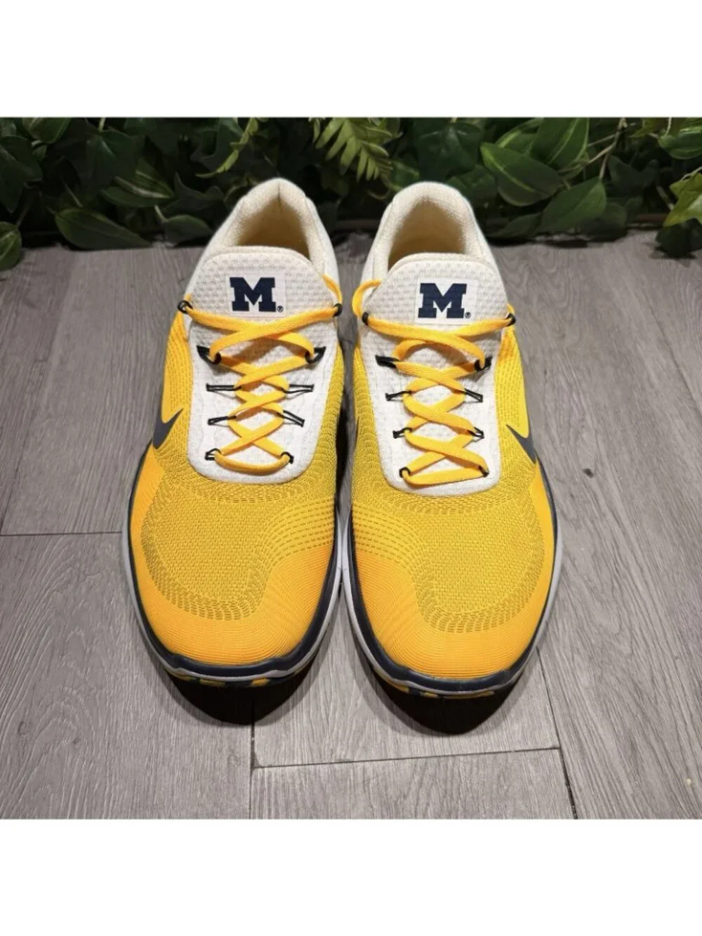 NIKE Free Men’s Michigan Wolverine’s Running Shoes 12.5 Blue Gold AA0881-700